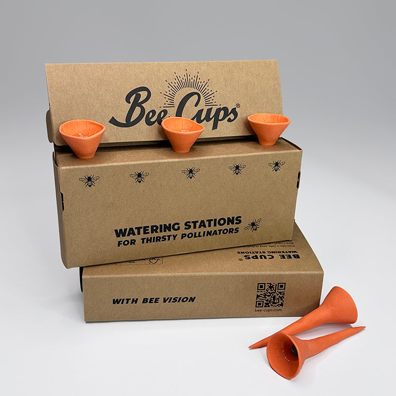 Pumpkin Patch 3-pack