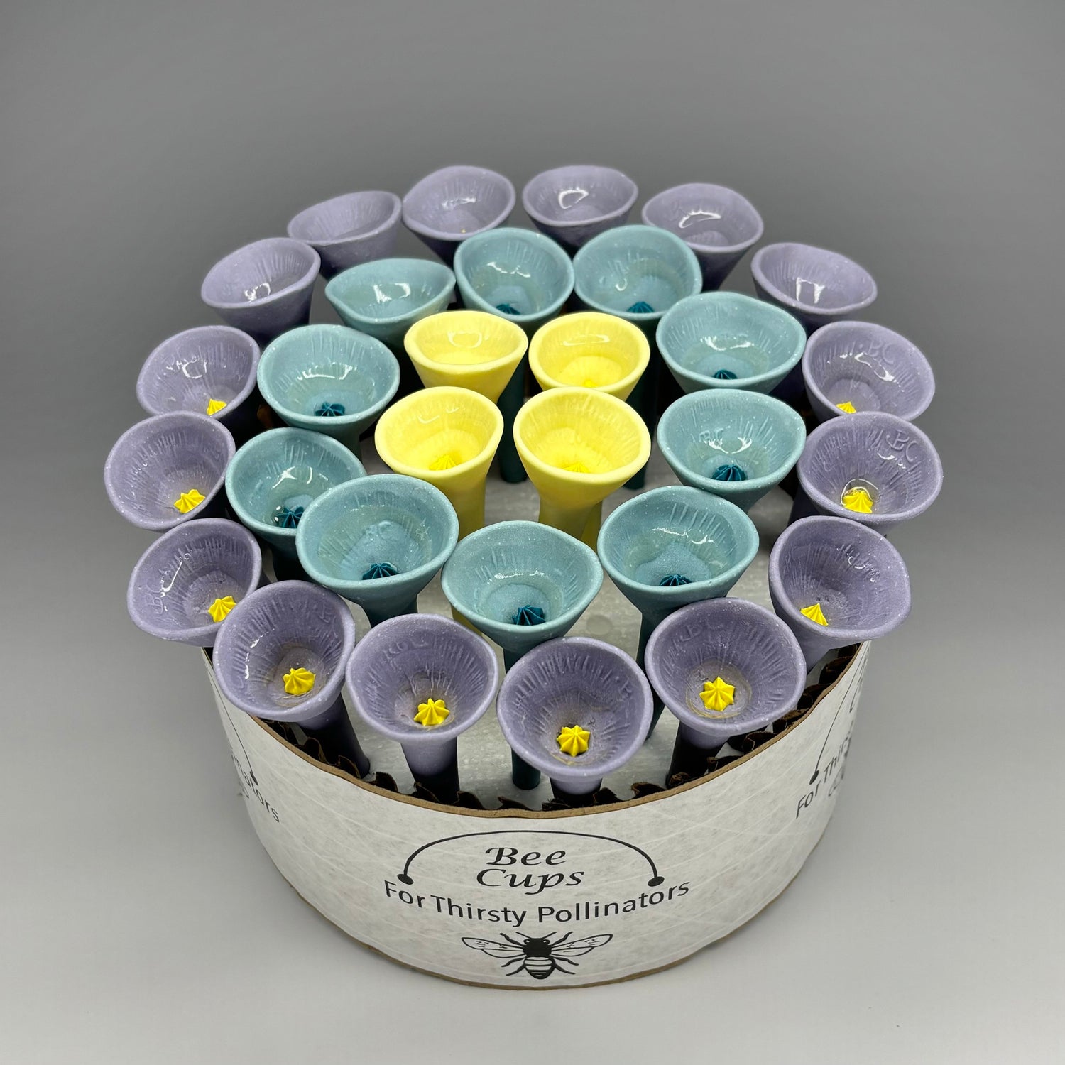 Purple Heather Oasis