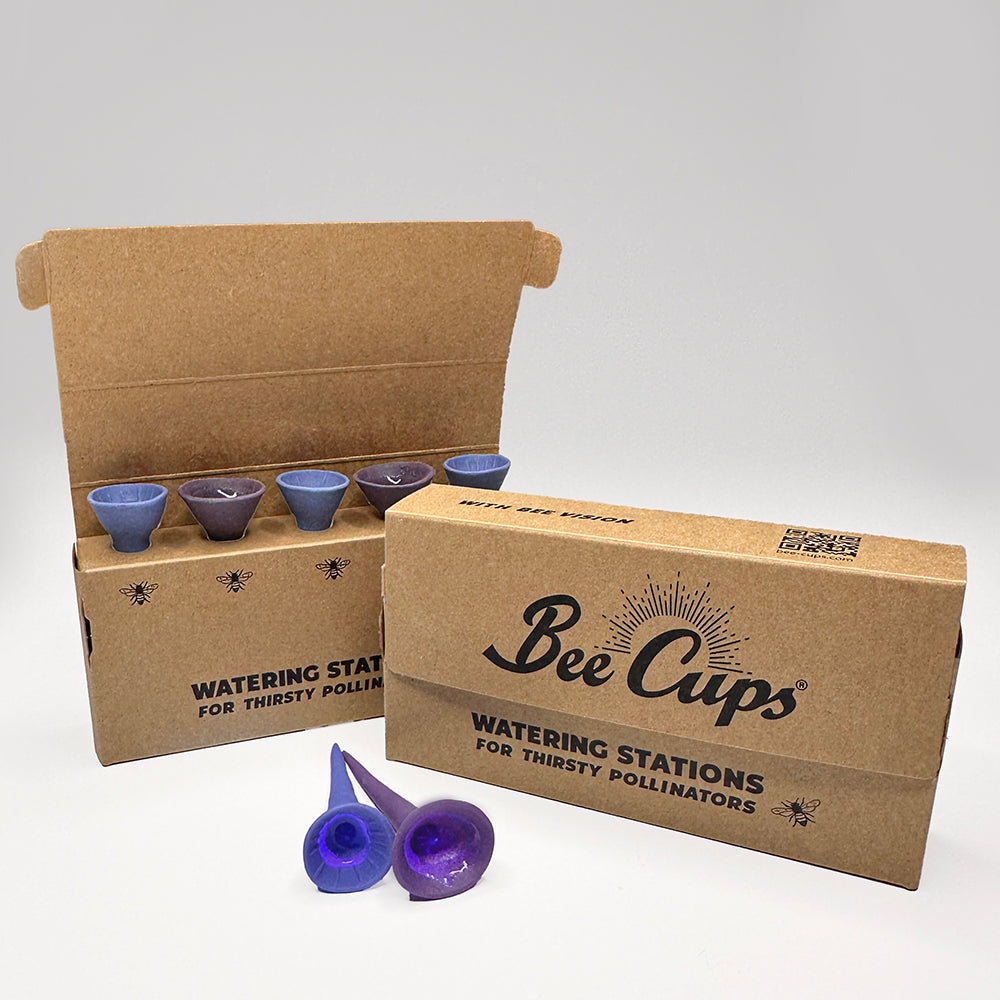 Purple and Periwinkle 5-pack