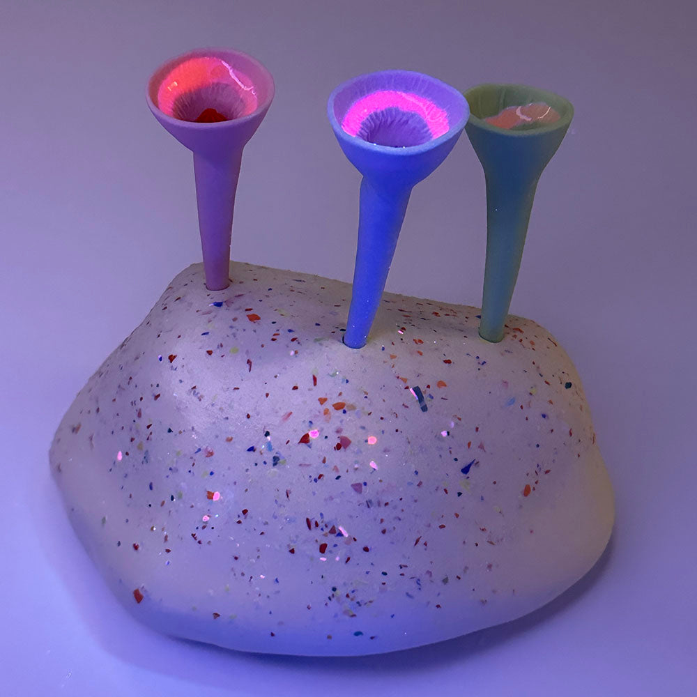 Bee Bar with 3 Bee Cups