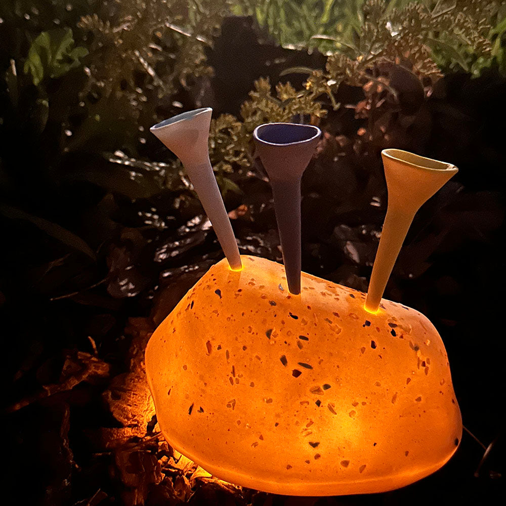 Bee Bar with 3 Bee Cups