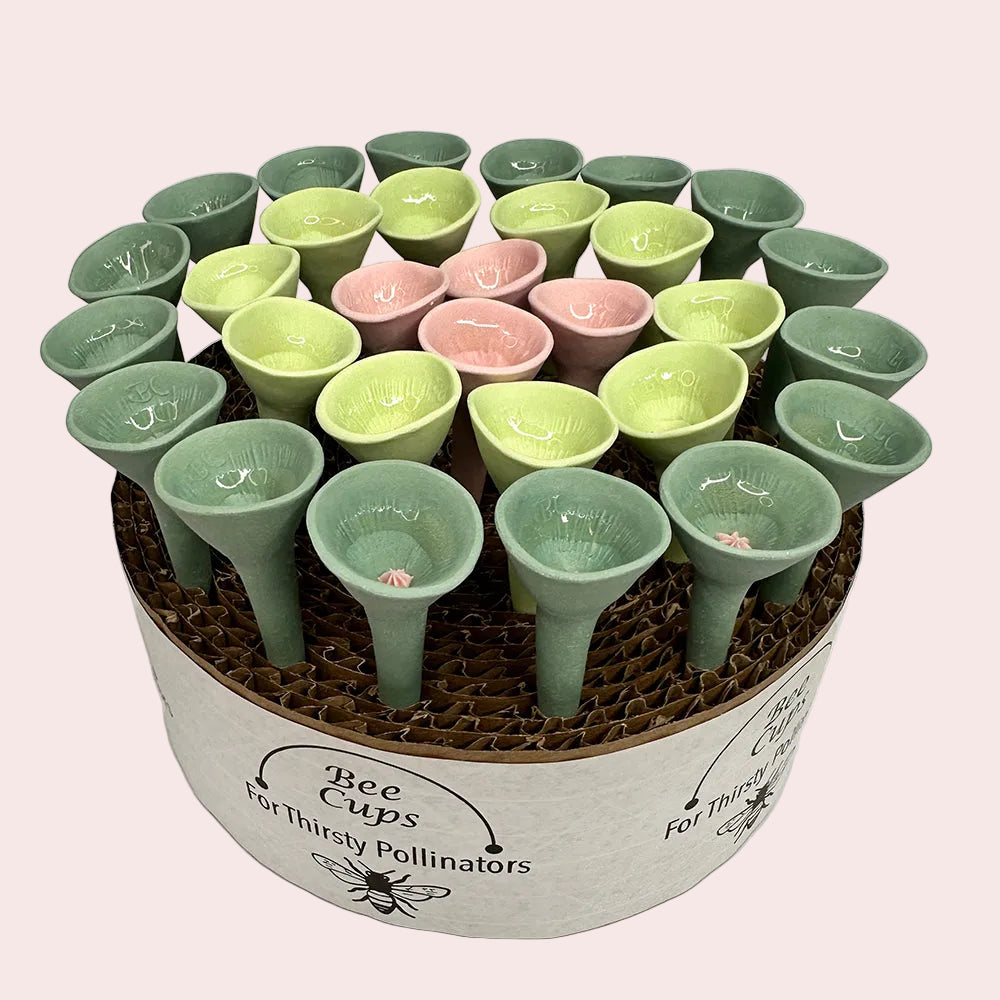 Bee Cups in a circular container on a white background